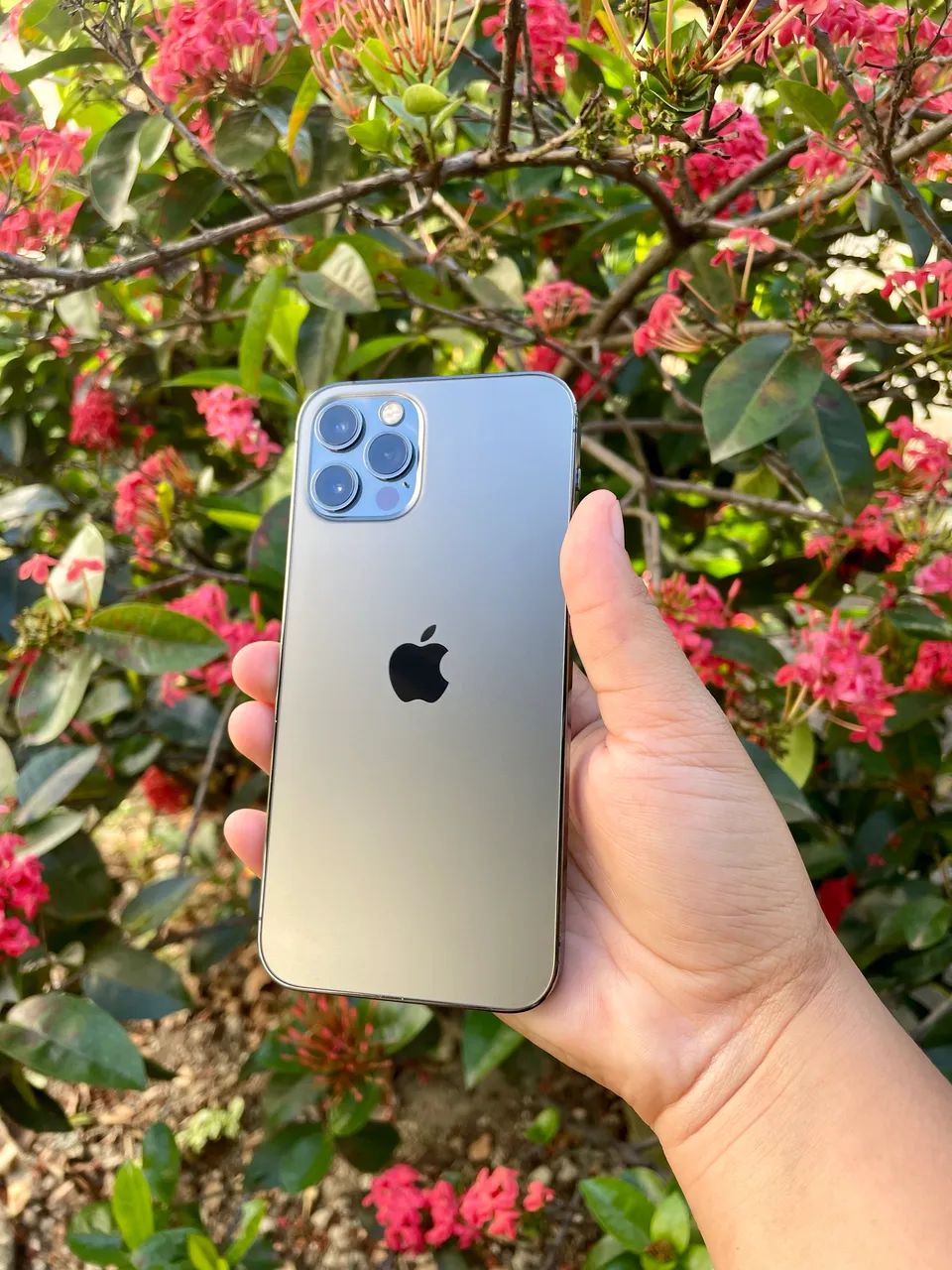 iPhone 12 Pro 256gb TODO ORIGINAL! - Celulares e Smartphones