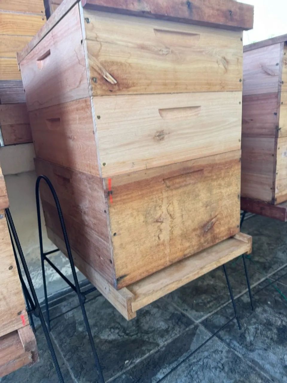 Vendo 9 caixas de apis padrão langstrot super nova com cavelete de aço , com 2 melgueiras - Foto 2