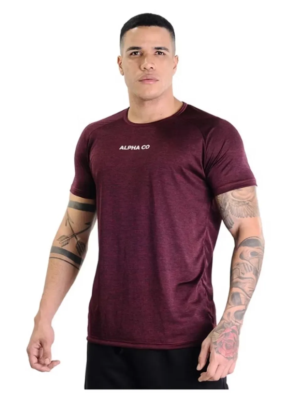Duas camisas Alpha.Co (nova) valor 65 reais 