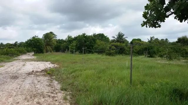 Granja com Casa Sede, Poço, 7.5 Hectares, plantação de graviola - Foto 2