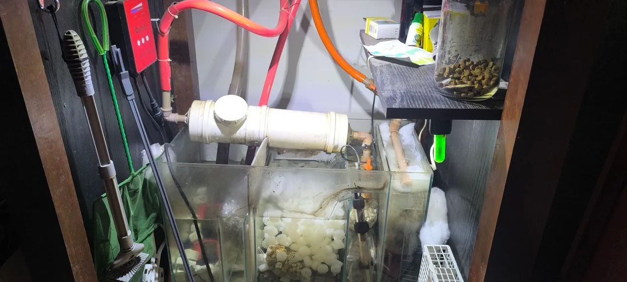 Aquário completo.  - Foto 6