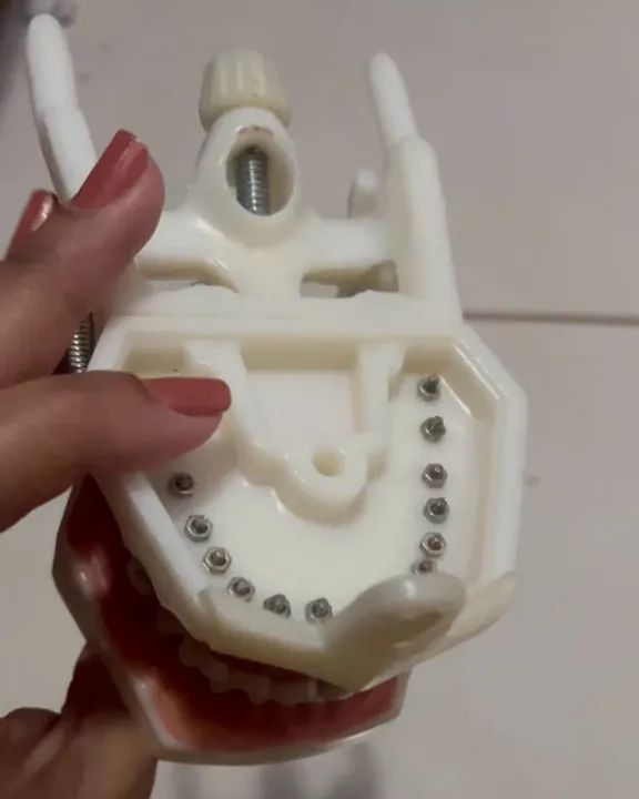 Manequim Dentistica  - Foto 3