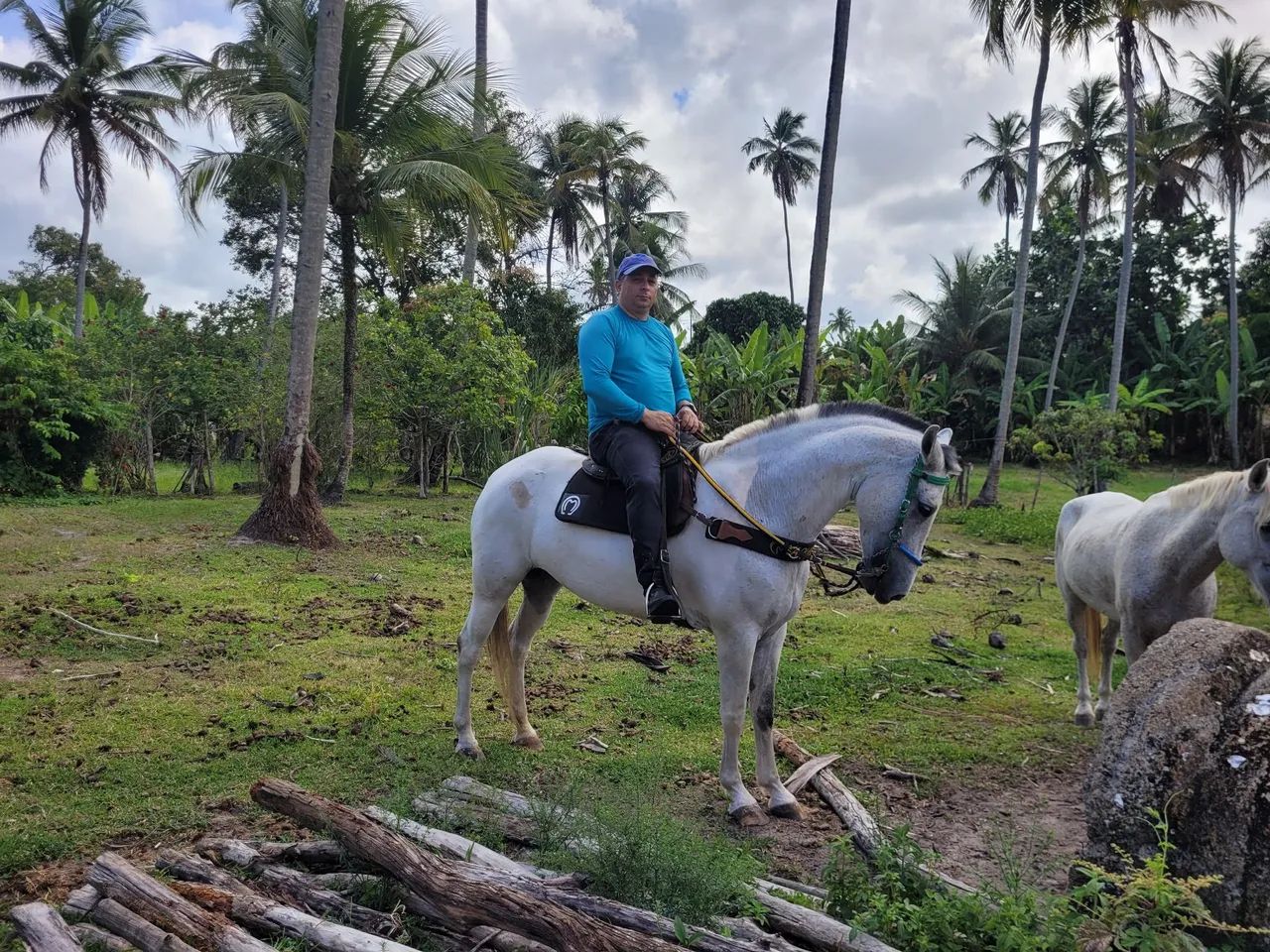 Égua Mestiça de Mangalarga - Foto 4
