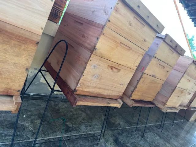 Vendo 9 caixas de apis padrão langstrot super nova com cavelete de aço , com 2 melgueiras