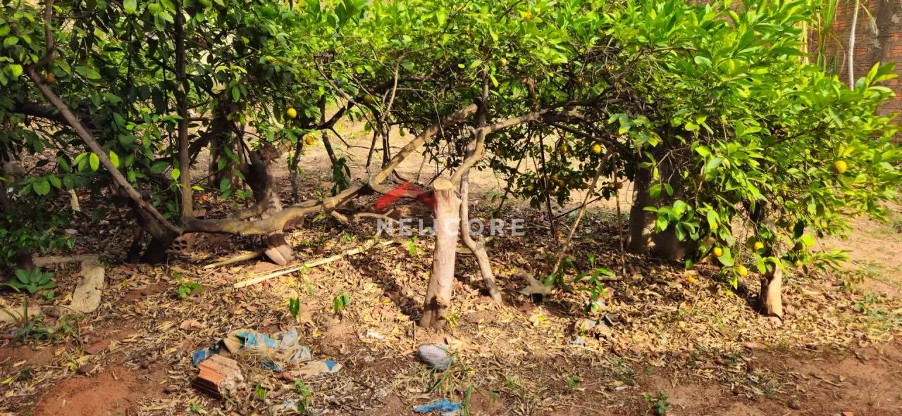 Lote em Rua Maria Martinez Rocha - Novo Jardim Pagani - Bauru/SP - Foto 4