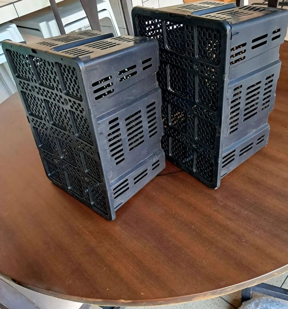 Caixas Plásticas Agrícolas Empilháveis... Contato * - Foto 5