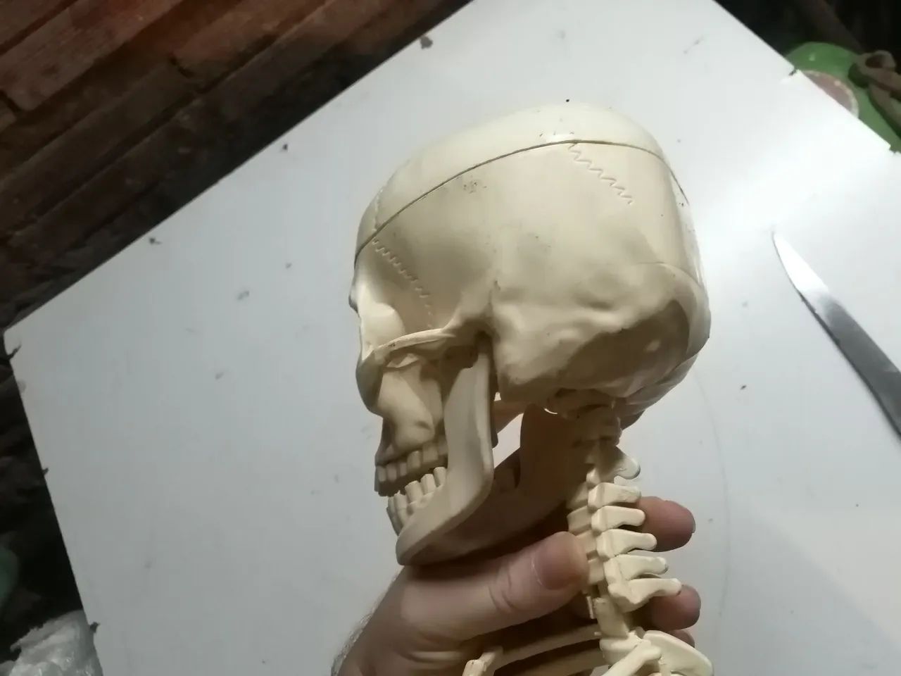 Parte Esqueleto antigo salvat - Foto 2