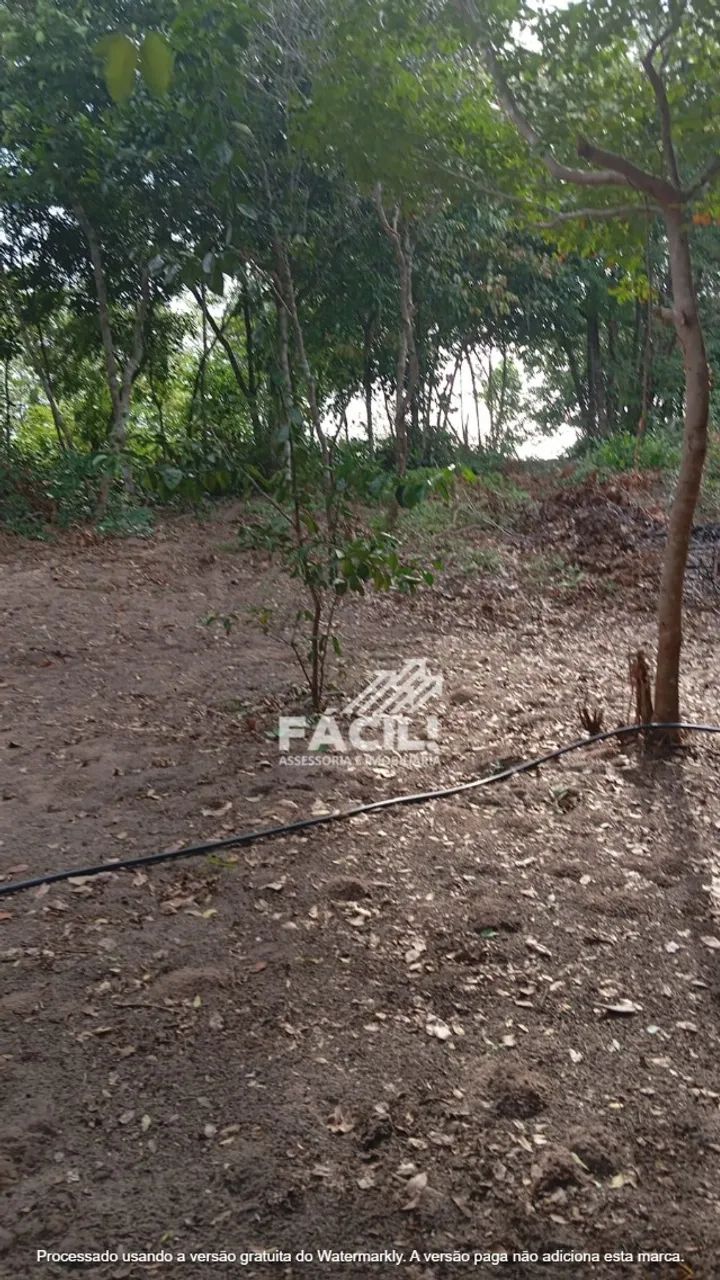 CHÁCARA PRÓXIMO AO IRMÃ ADELAIDE - 4.556m² - Foto 4