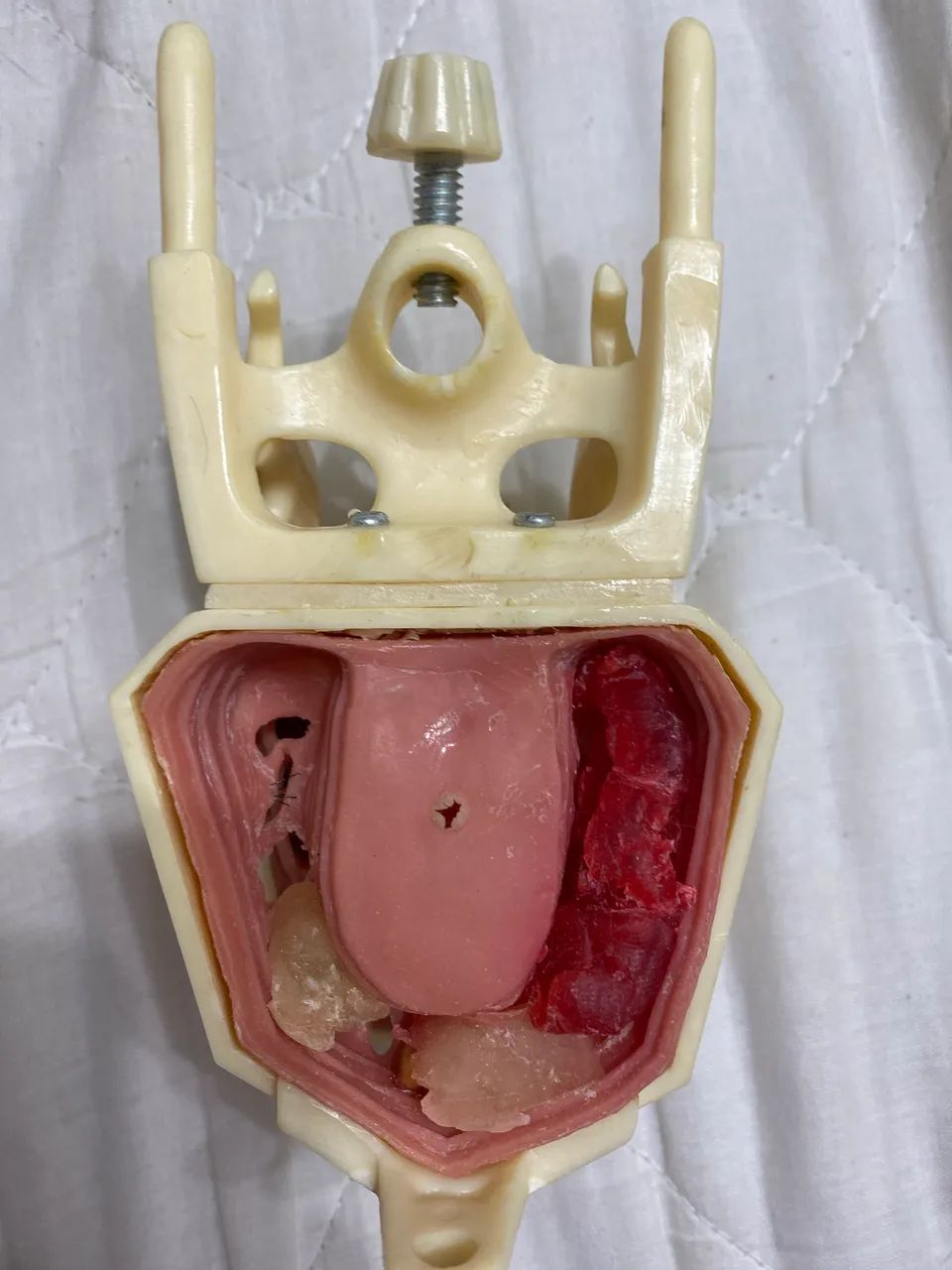 Manequim odontológico para endo (usado) Dent Art  - Foto 3
