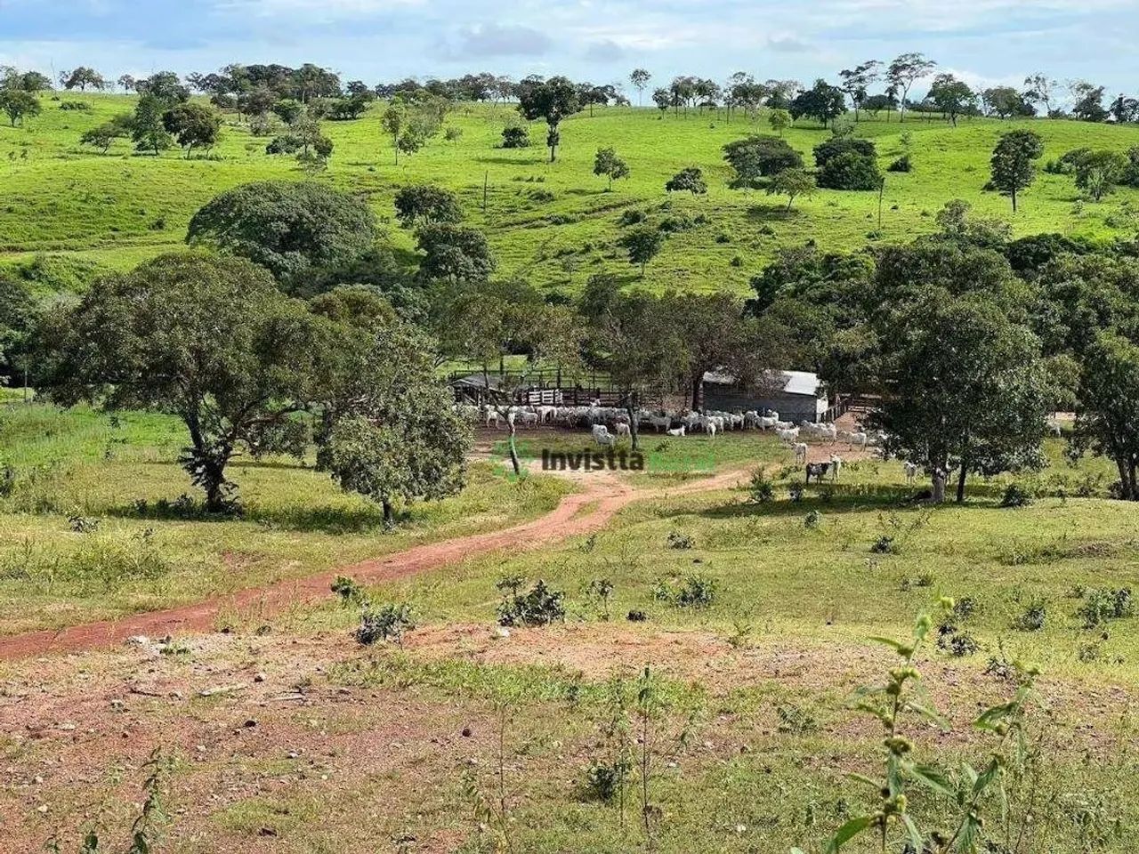 Fazenda de 264 alqueires com aptidão agrícola em Dois Irmãos Tocantins