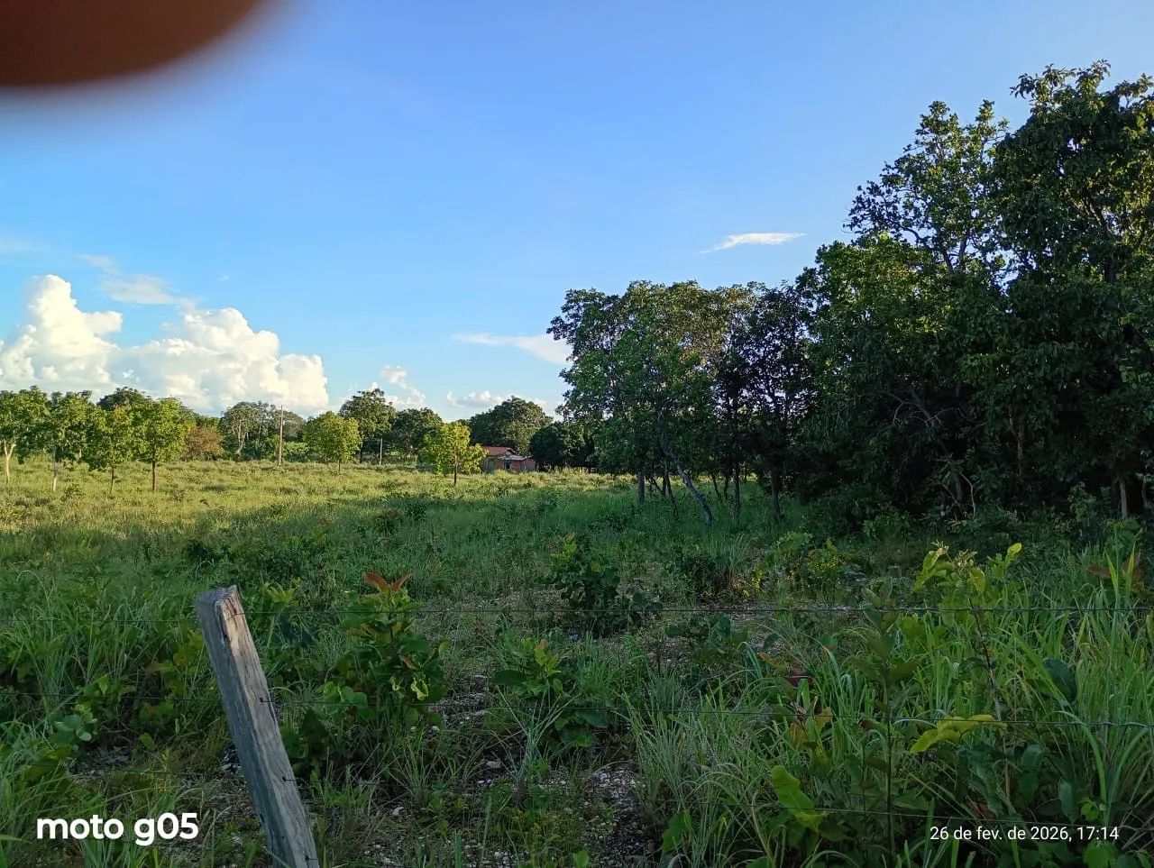 SÍTIO BARATO COM TERRA BOA  - Foto 2