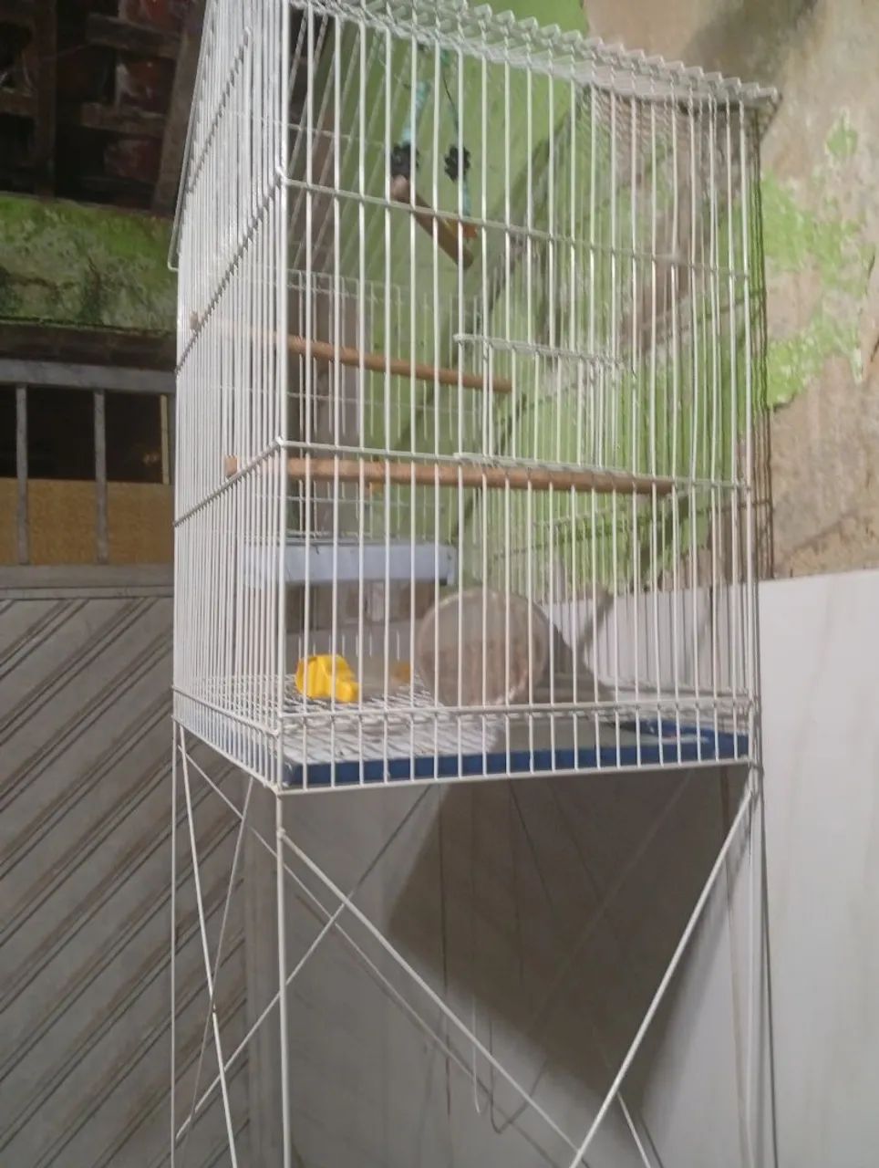 Gaiola para passarinho  - Foto 2