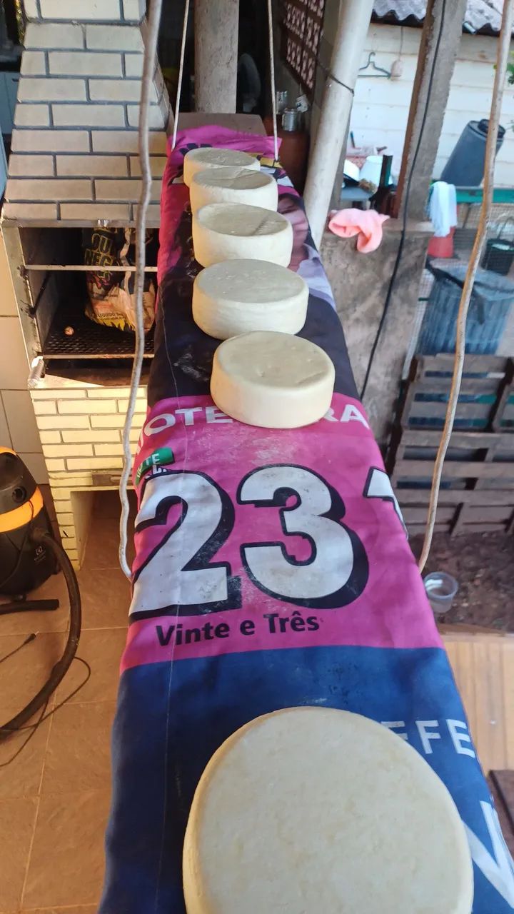 Queijo - Foto 2