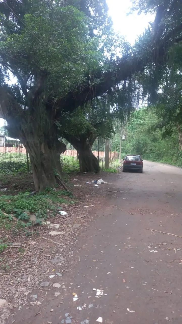 Vendo terreno no jesuítas  - Foto 3