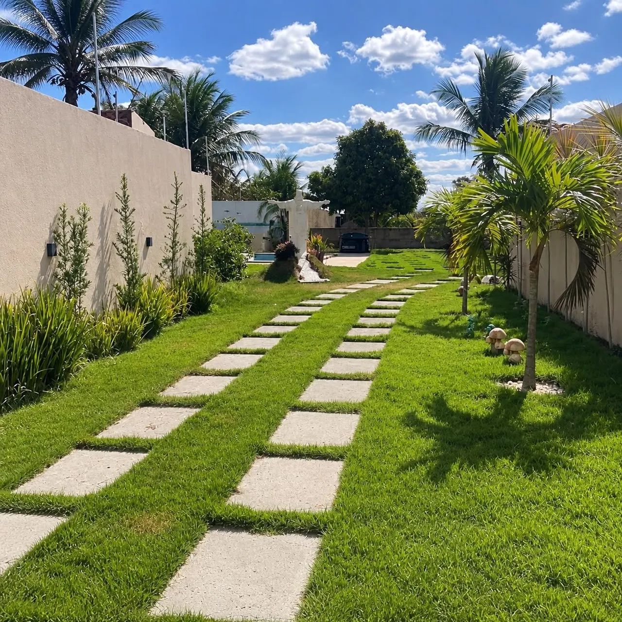 Vendo chácara com piscina na BR 235  