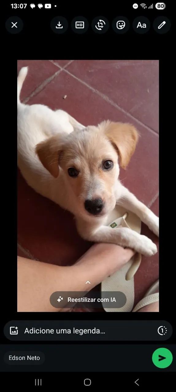 Doa-se cachorrinha - Foto 2