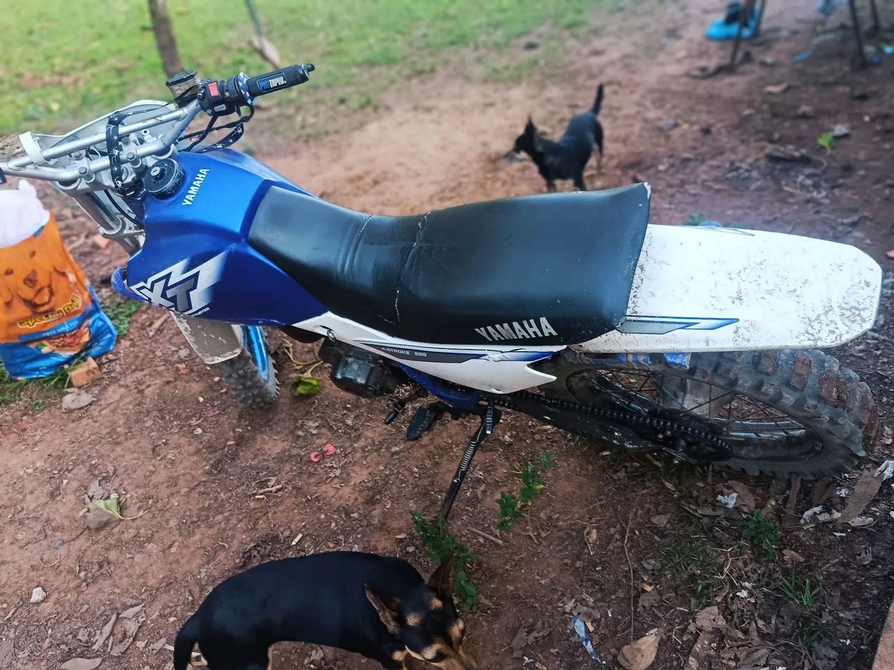 Motinha filé XT 225  - Foto 4
