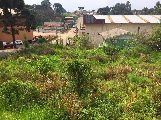 Terreno Comercial - Bairro Centro