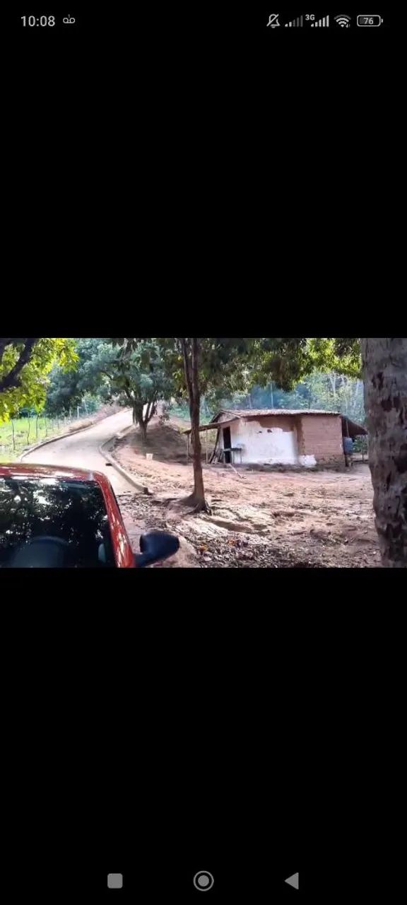 Granja no Conde - Foto 5