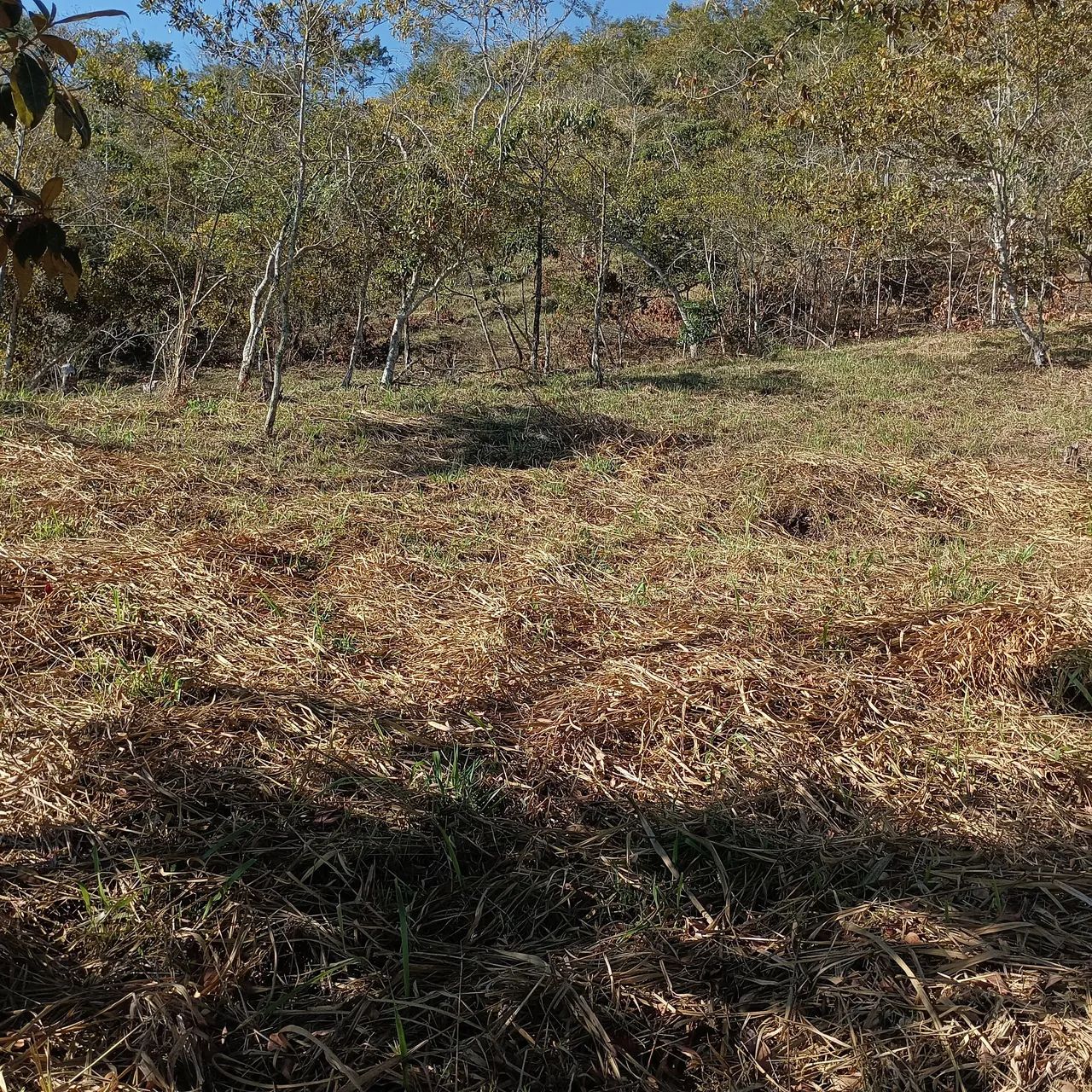 Lote em Área rural  - Foto 3