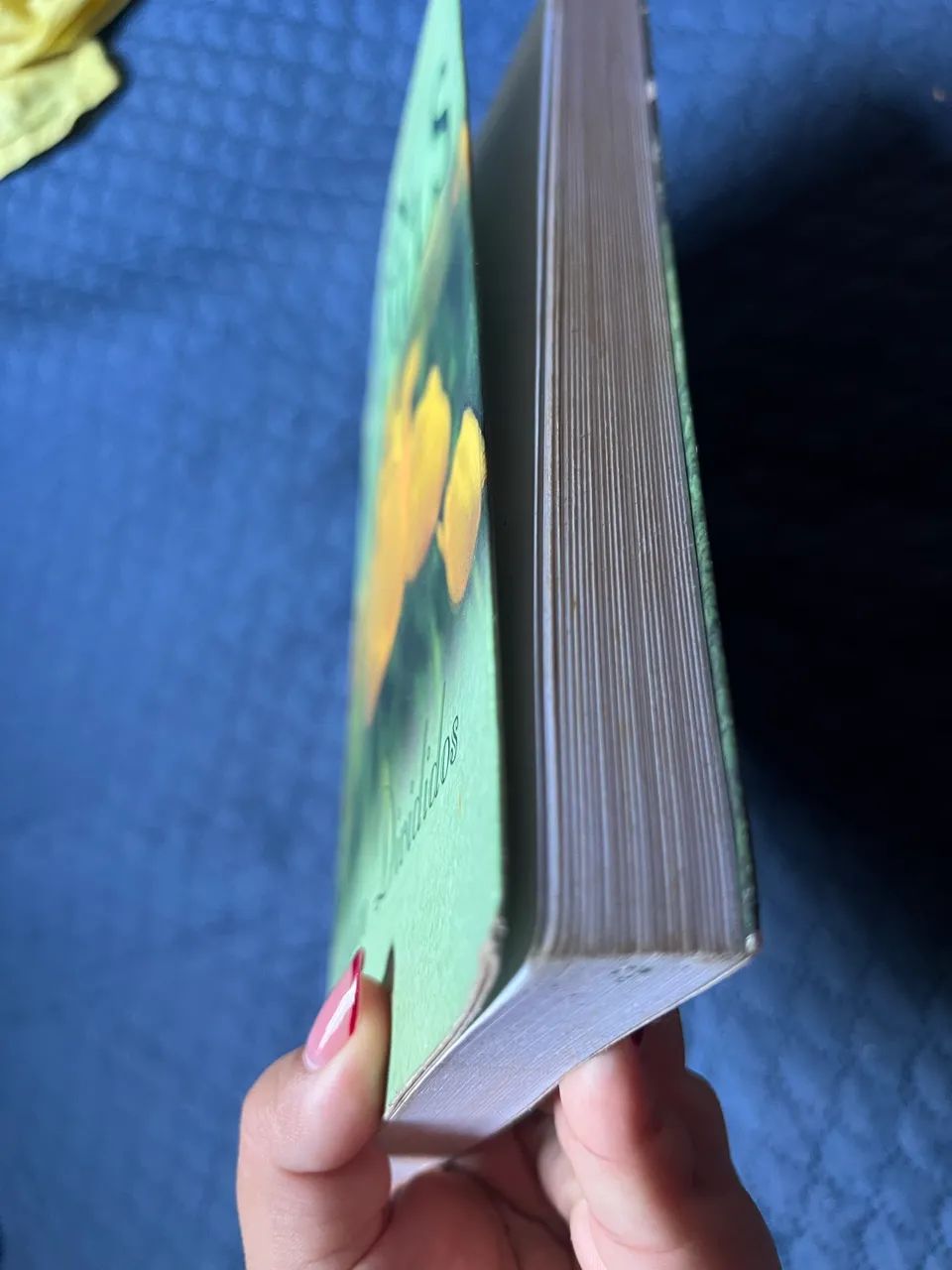 Livro Segredos Divididos - Foto 3