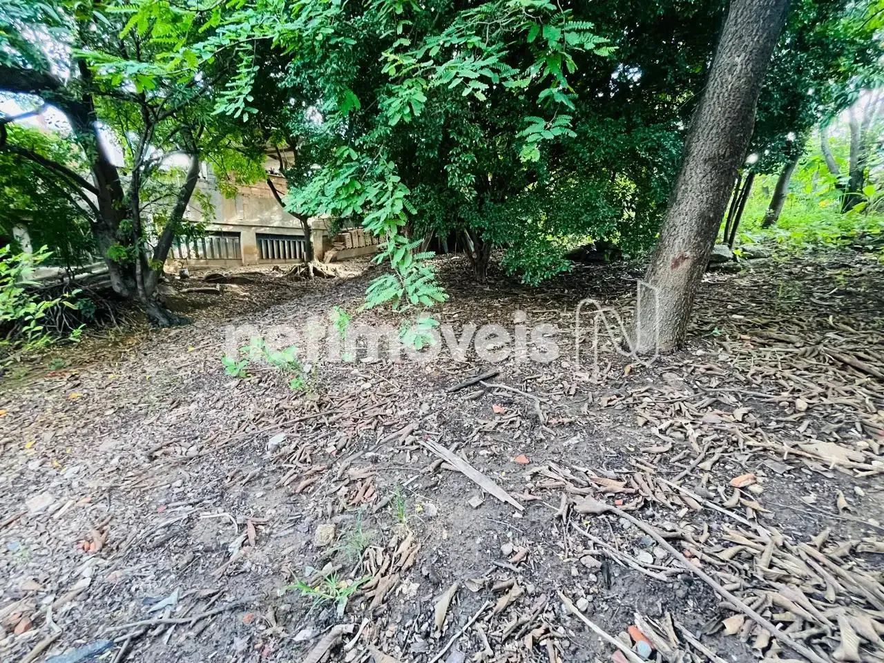 Lote de 300m ²; no Pindorama! - Foto 2