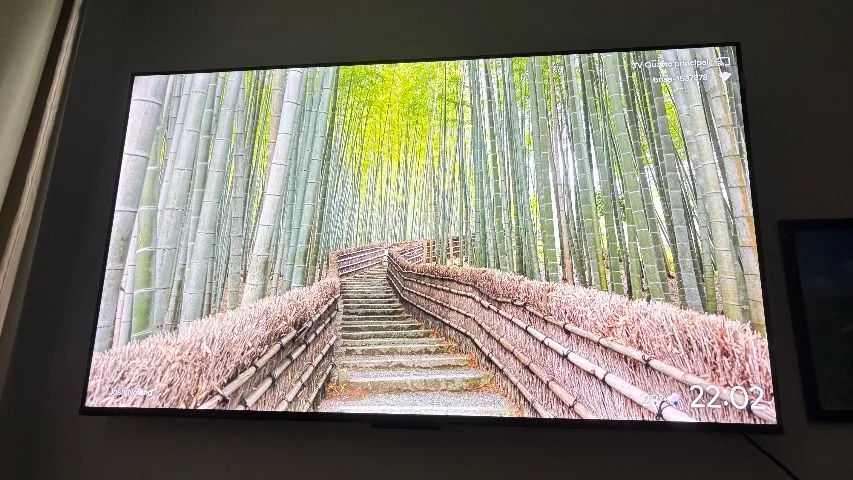 Tv TCL 50 polegadas apenas 3 meses de uso, motivo da venda : Mudança 