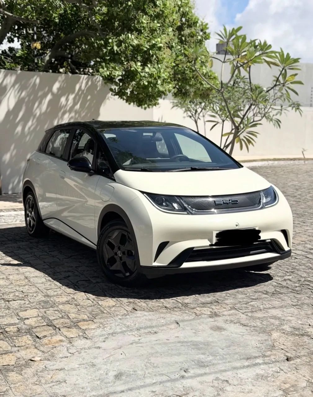 BYD Dolphin Dolphin EV (Elétrico) 2024