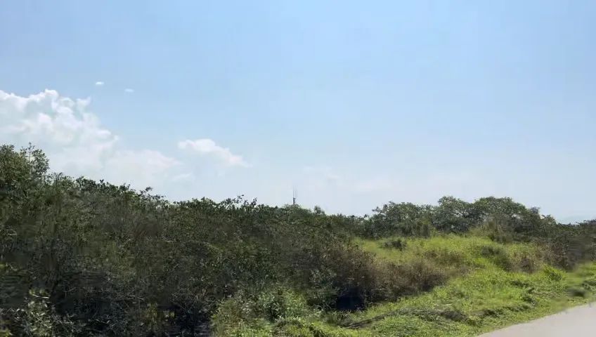 Lote, Residencial - 275m² - Foto 3