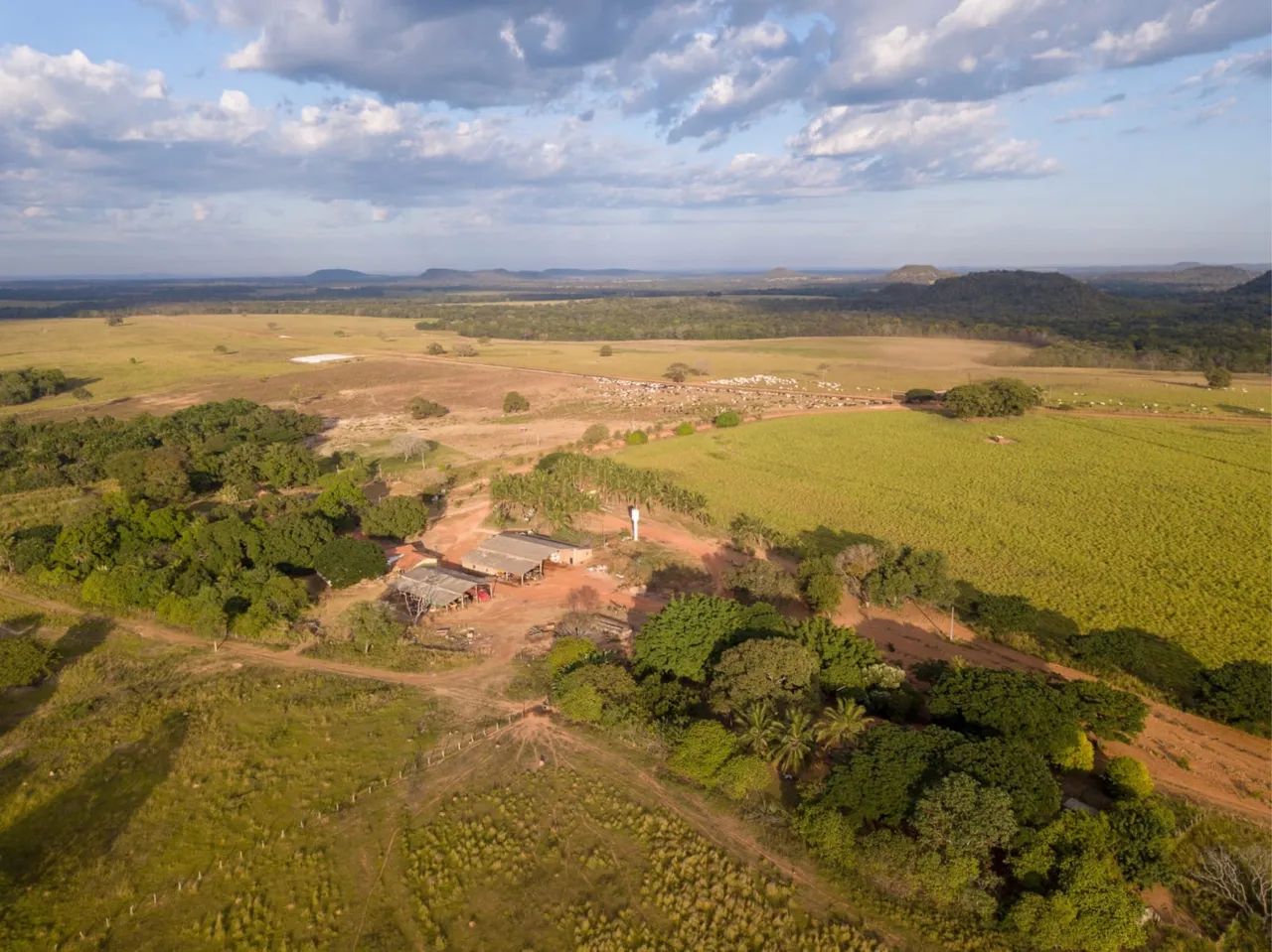 Fazenda em Goiatins/Tocantins  - Foto 5