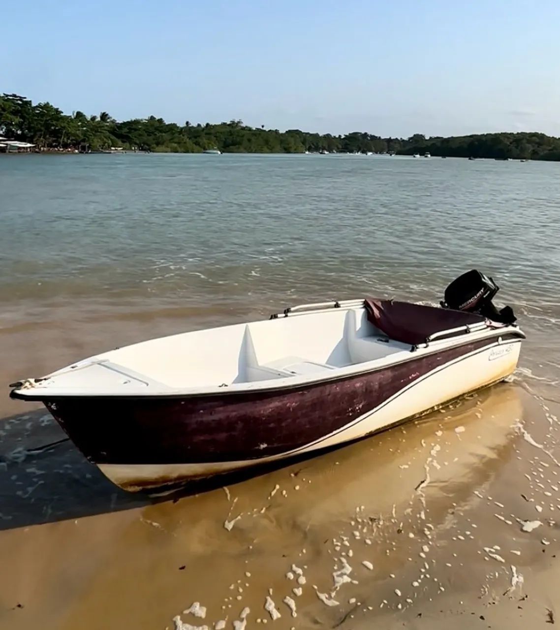 Corisco 450 mercury 15hp - Foto 5