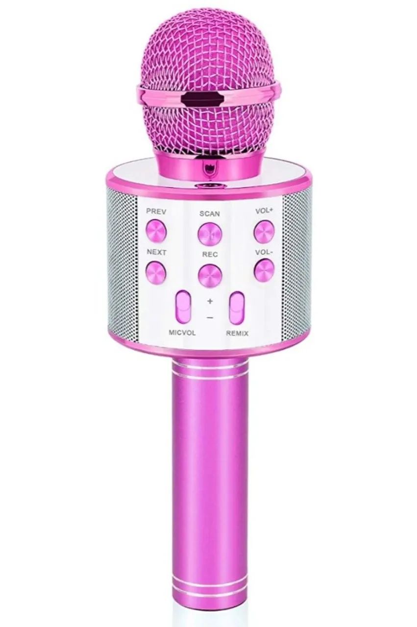 Microfone profissional 