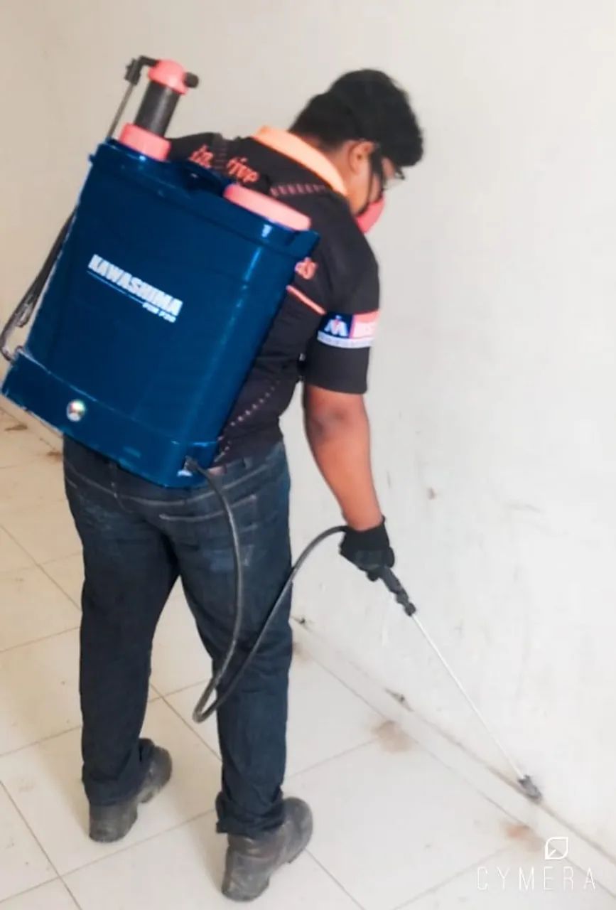 Dedetização Resolve e Desconto. - Foto 2