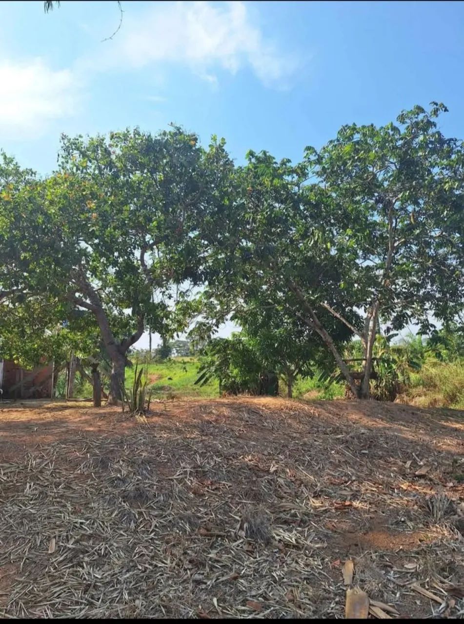 Chácara 12.5 hectare  - Foto 2