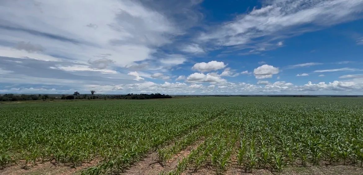 Vende-se Fazenda  - Foto 3