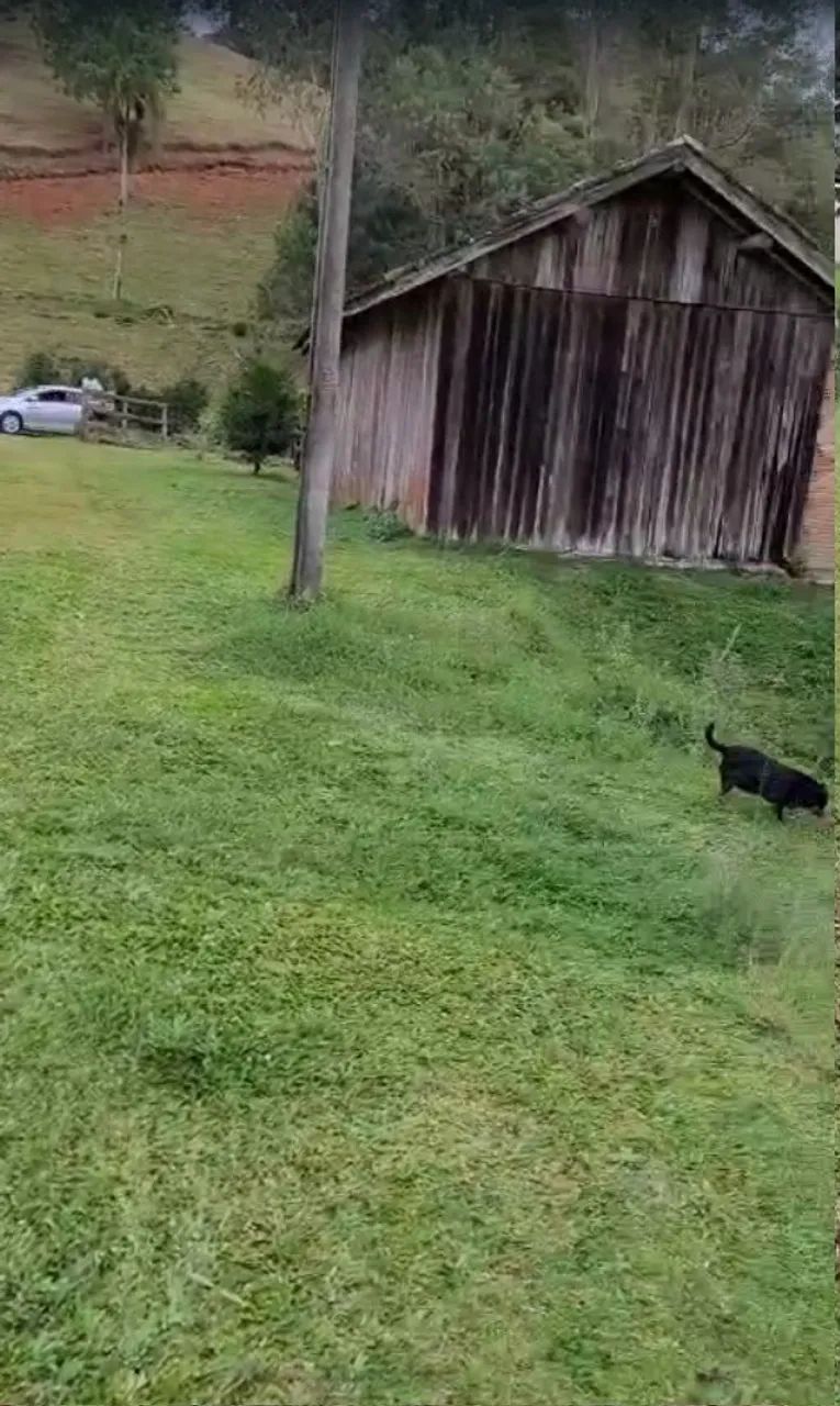 Natureza, tranquilidade e qualidade de vida a apenas 100 km de Florianópolis - Foto 3