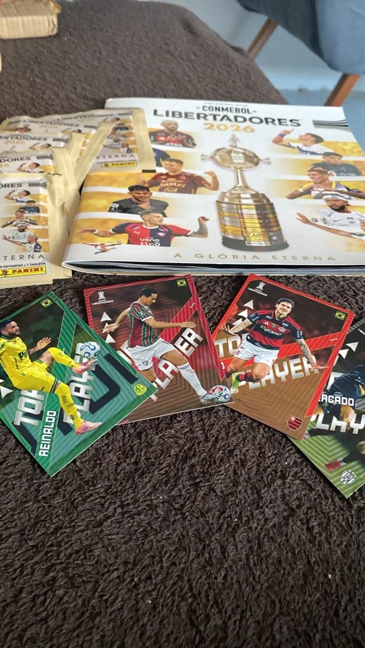 Álbum e Cards figurinhas  - Foto 2