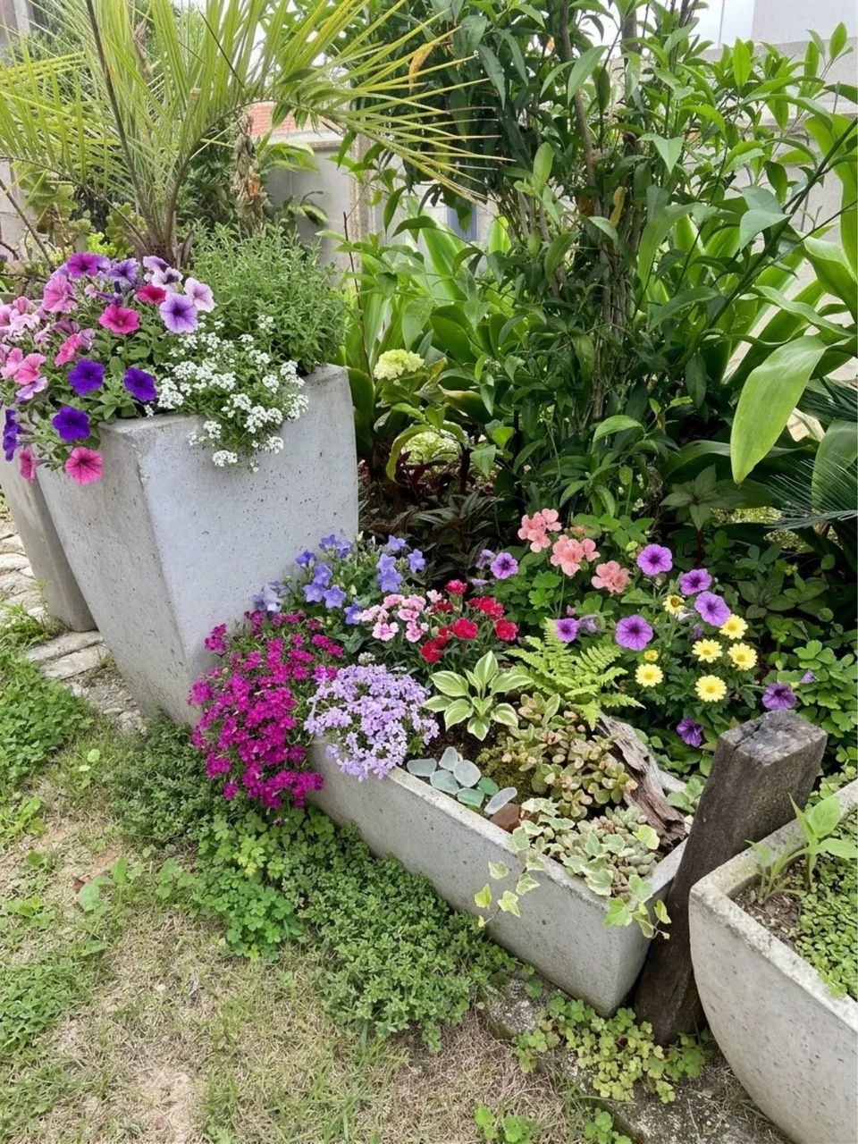 Vazos decorativos e de jardinagem  - Foto 3