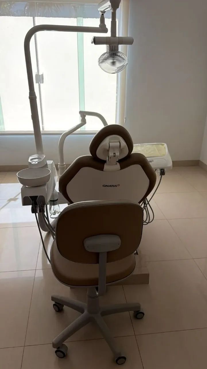 vendo cadeiras gnatus pouquíssimo uso