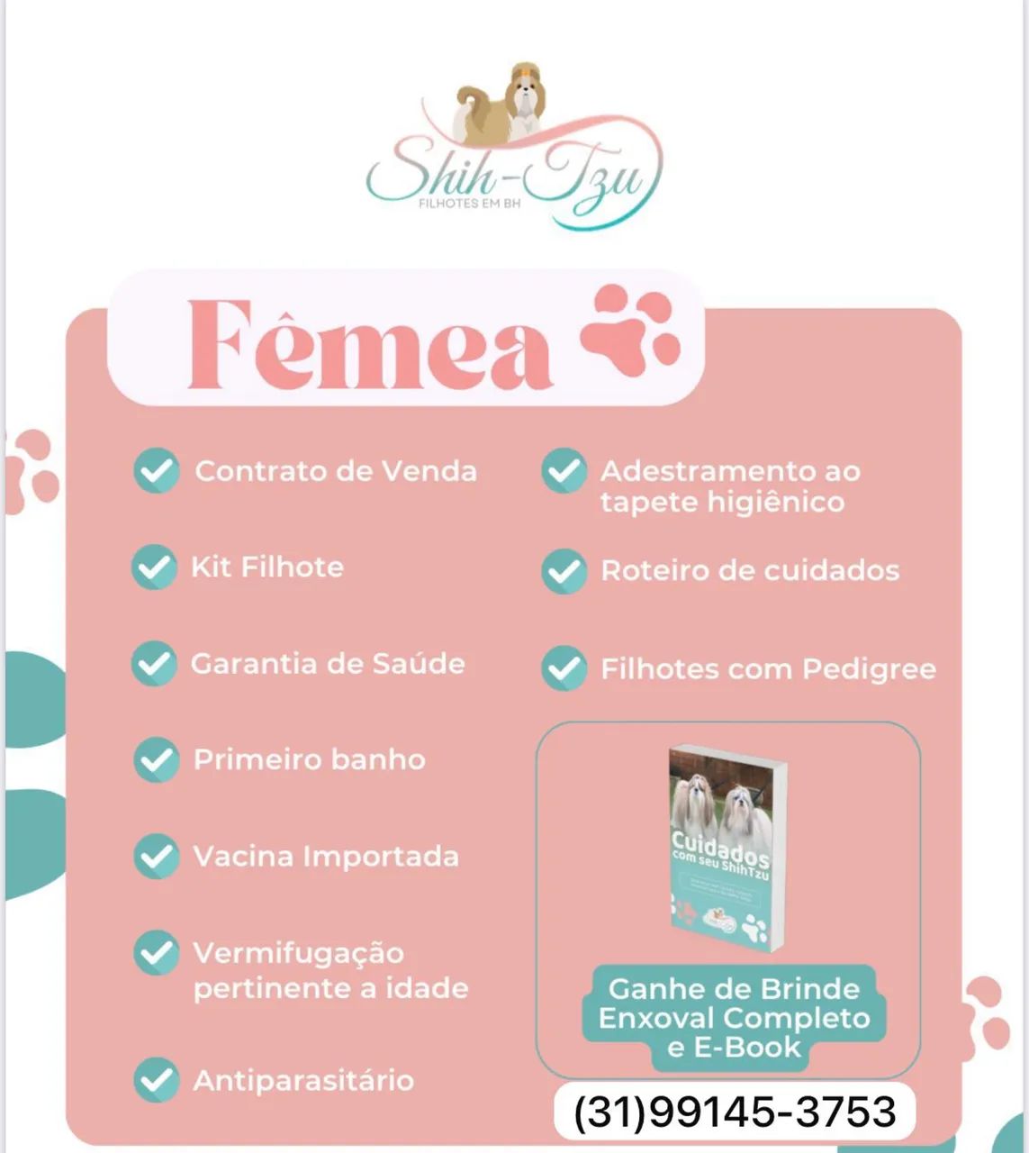 SHITZU FÊMEA  - Foto 2