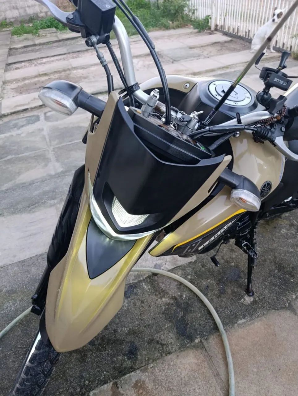 Lander 2024 bege  - Foto 2