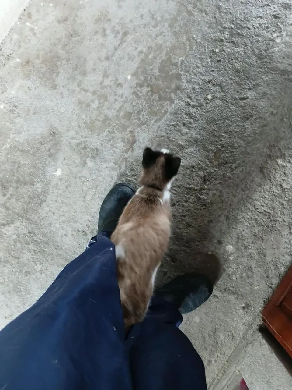 Doação  - Foto 2