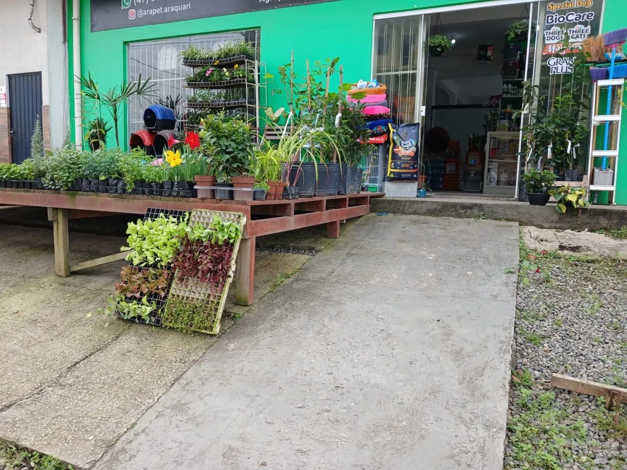 Agropecuária em Araquari - Foto 2