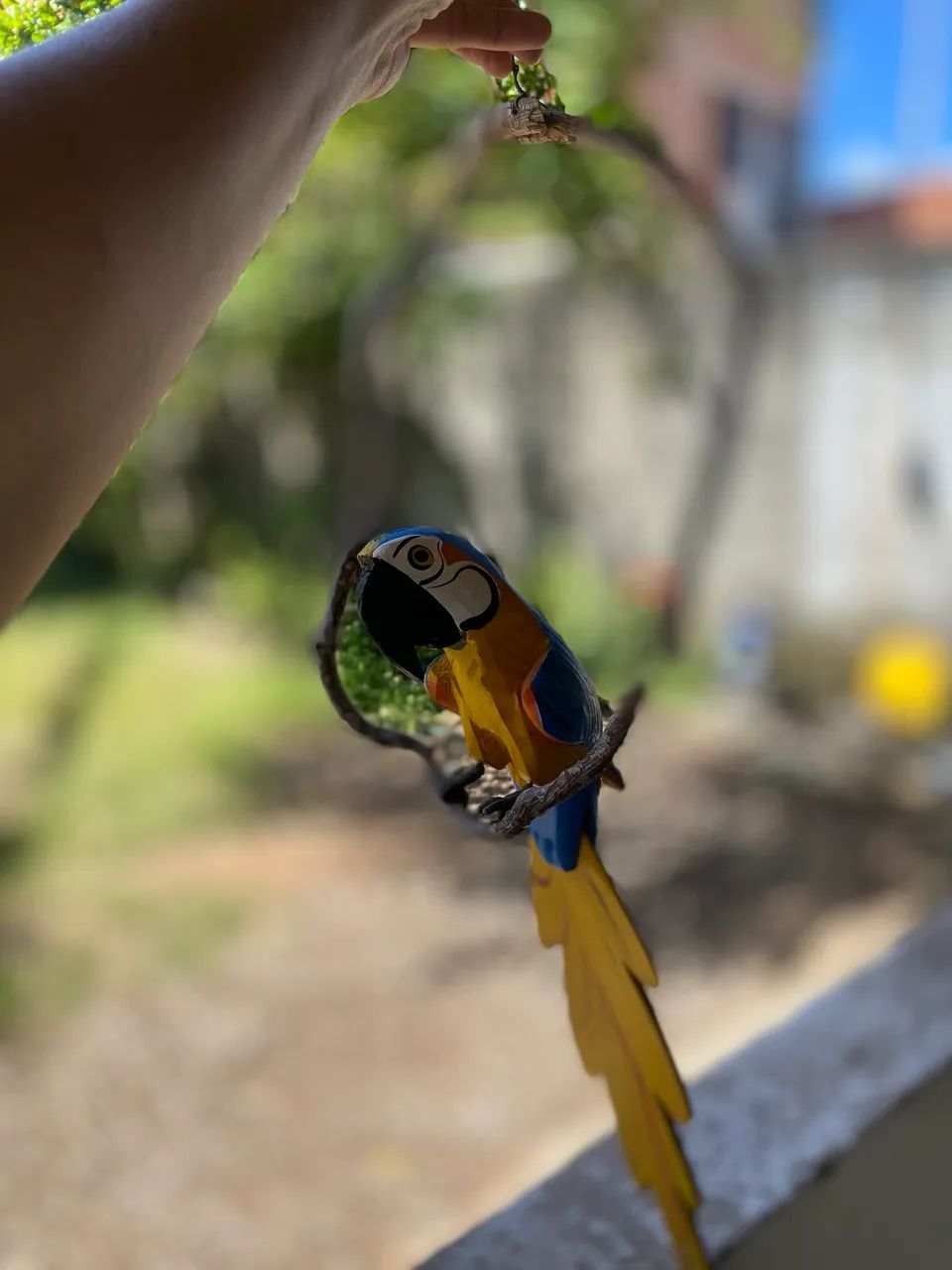 Arara Madeira Decoração  - Foto 2