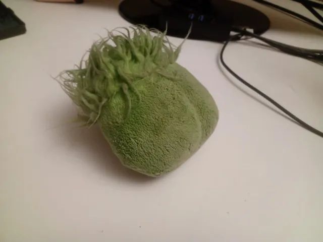 puffle verde - Foto 4