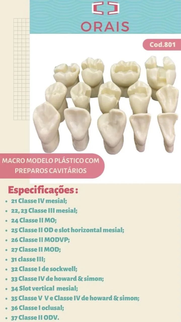 Macrodentes - Manequim Odontológico - Foto 4