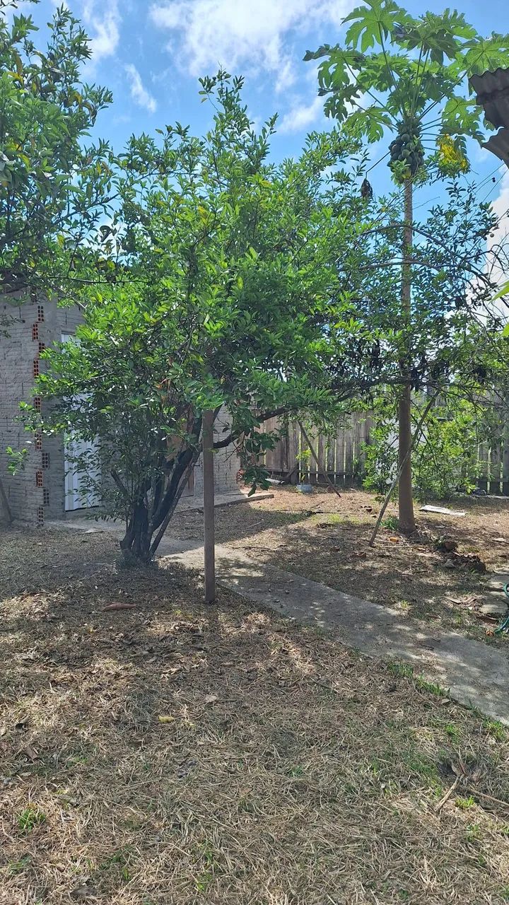 Terreno com casa para moradia - Foto 5