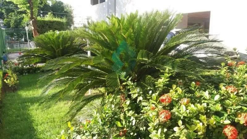 Cachambi | Apartamento 2 quartos, sendo 1 suite - Foto 4