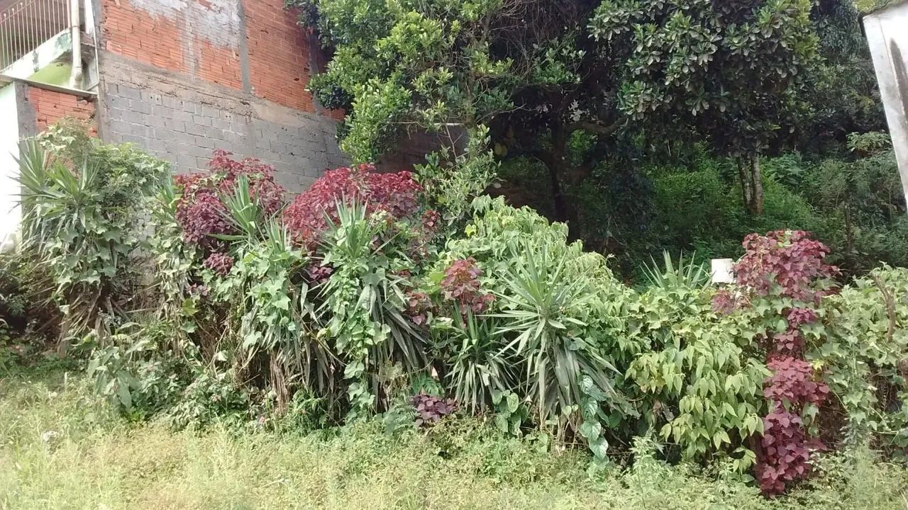 VENDO OU TROCO TERRENO  - Foto 4