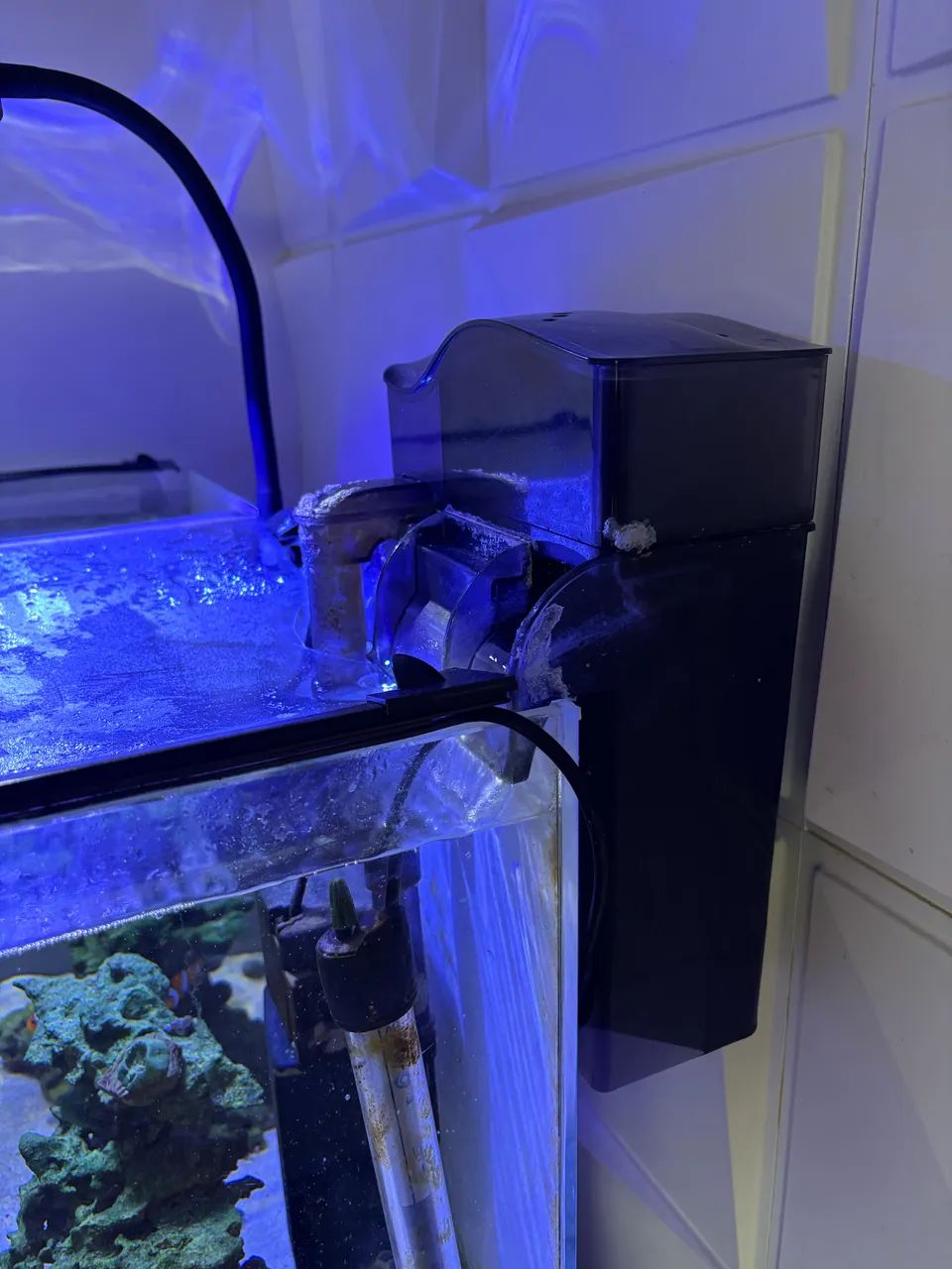 Aquário marinho completo - Foto 2